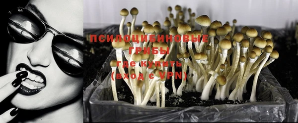 apvp Алексеевка